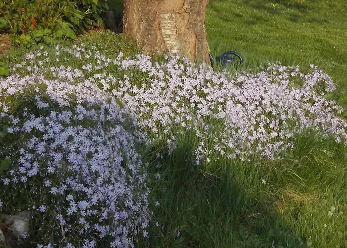 Neubert * 아이벤슈토크