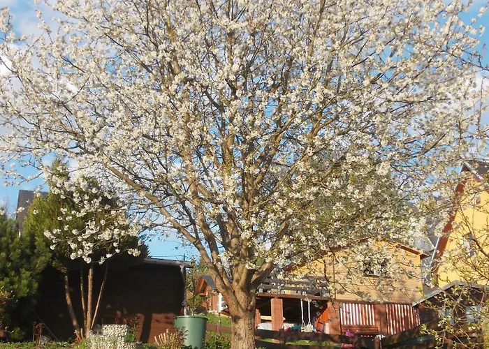 아파트 Neubert 아이벤슈토크